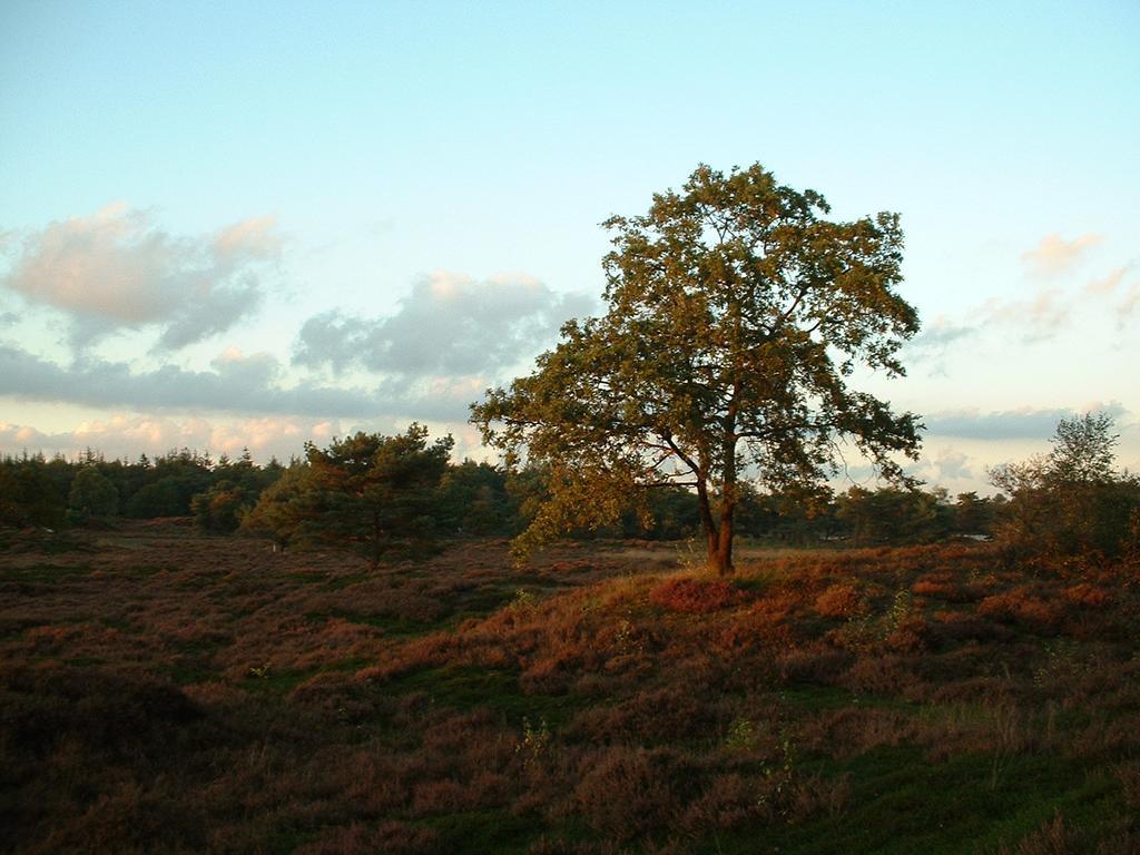 De Riekhoff Een-West Exterior foto
