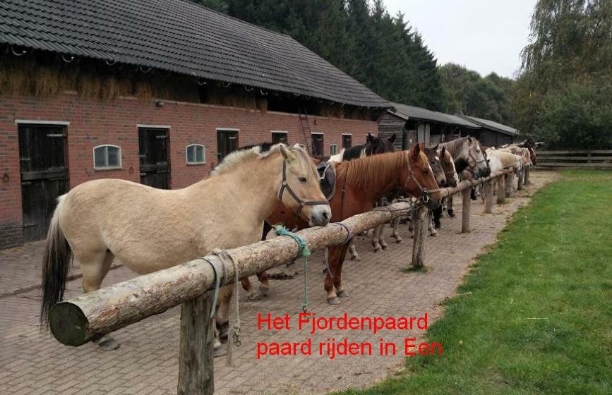De Riekhoff Een-West Exterior foto